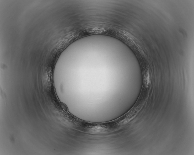 X0000090610460200708071207