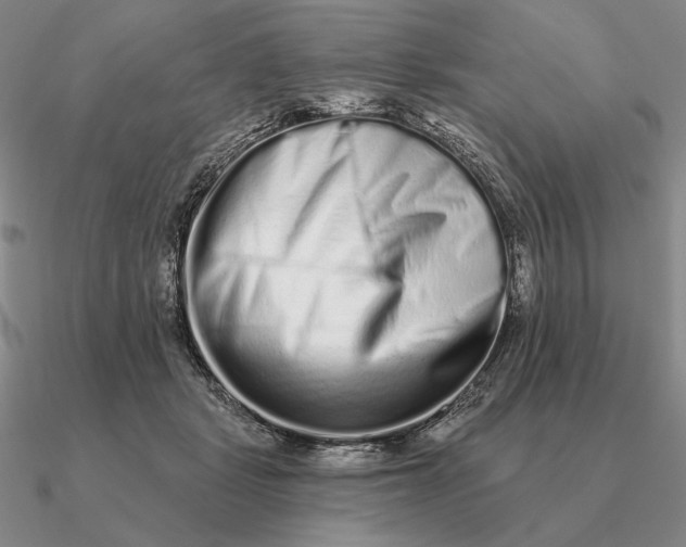 X0000090610461200708071207