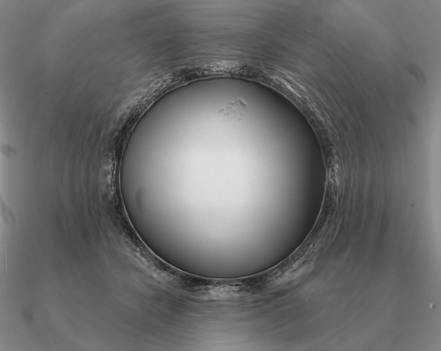 X0000090610462200708071207