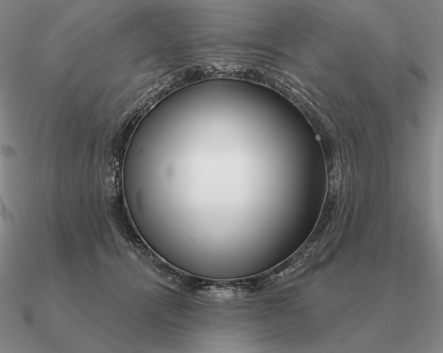 X0000090610464200708071207