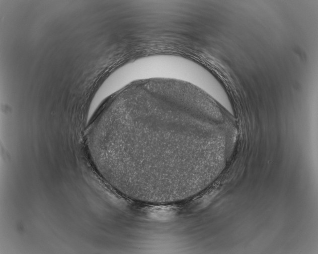 X0000090610465200708071207