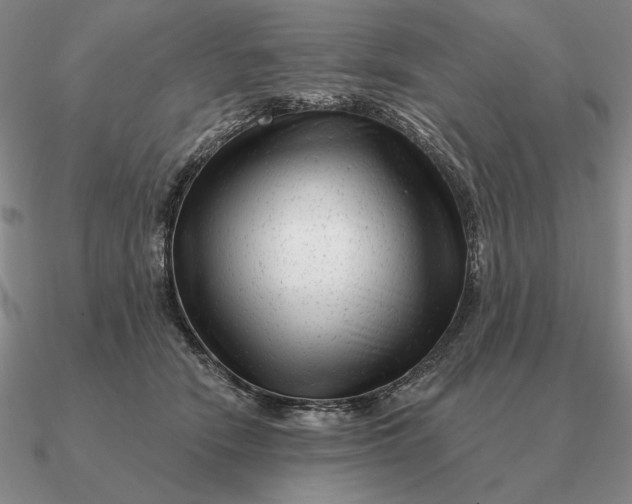 X0000090610466200708071207