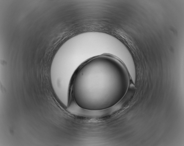 X0000090610467200708071207