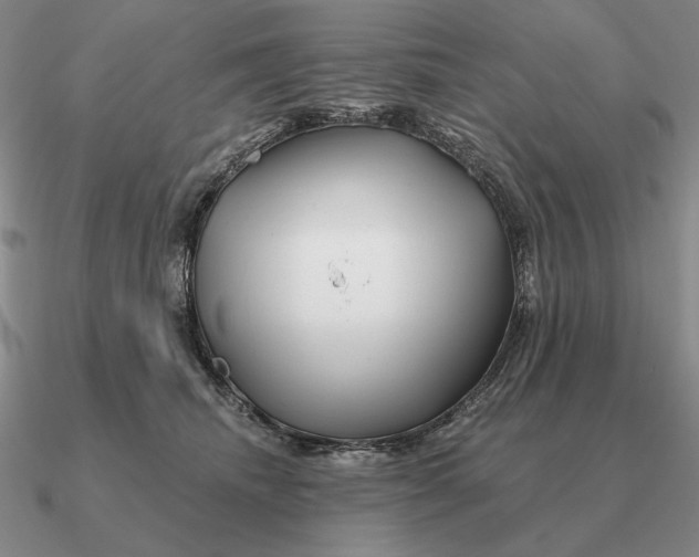 X0000090610468200708071207