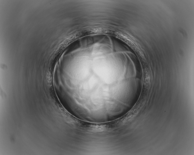 X0000090610469200708071207