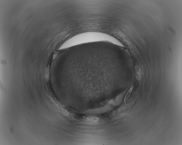 X0000090610471200708071207