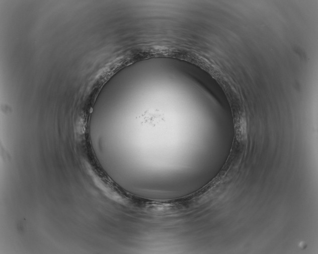 X0000090610472200708071207