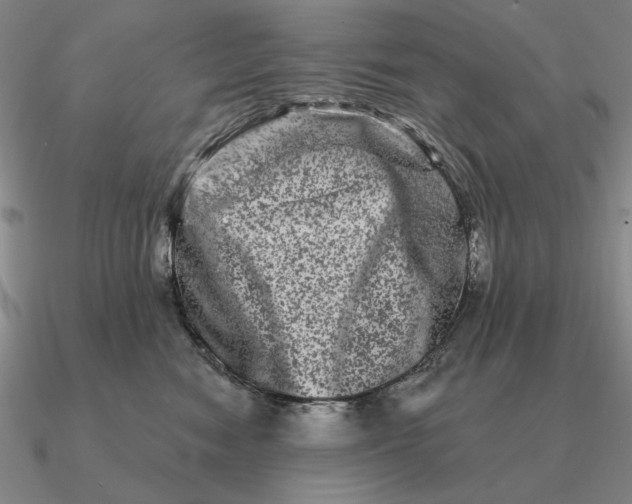 X0000090610474200708071207