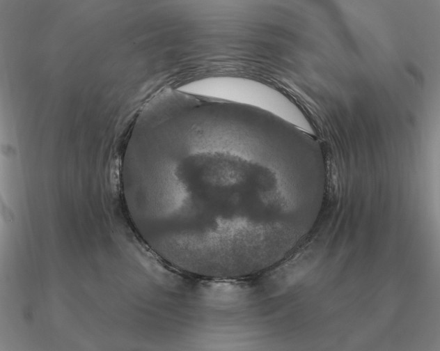 X0000090610475200708071207