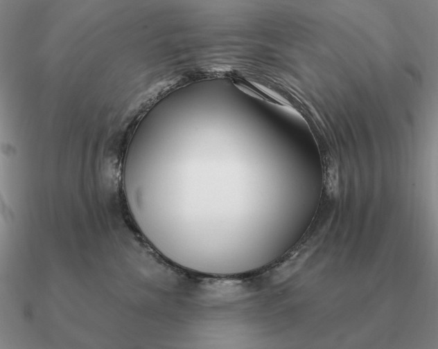 X0000090610476200708071207