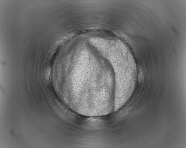 X0000090610477200708071207