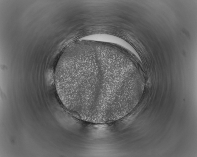 X0000090610478200708071207