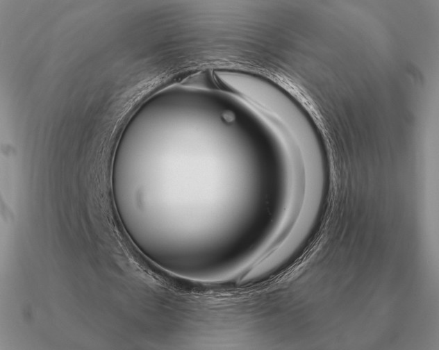 X0000090610481200708071206