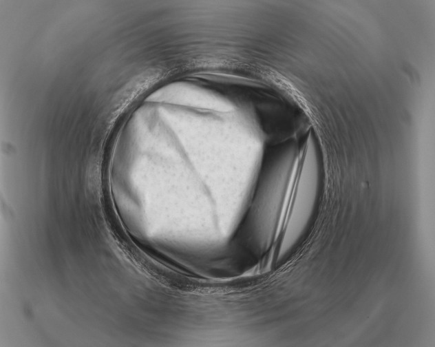 X0000090610482200708071206