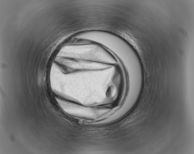 X0000090610483200708071206