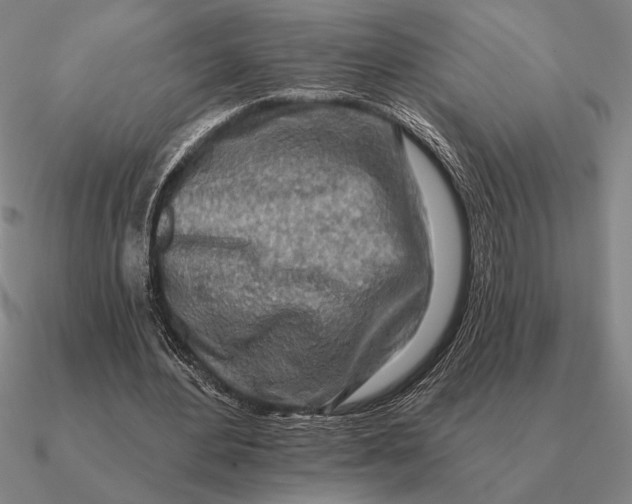 X0000090610484200708071206