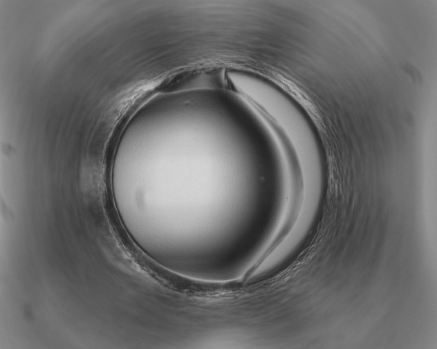 X0000090610485200708071206