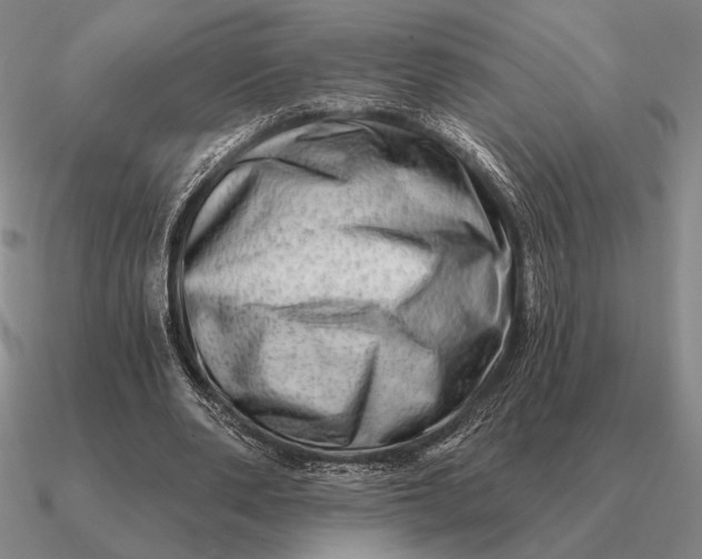 X0000090610486200708071206