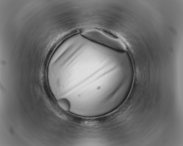 X0000090610487200708071206