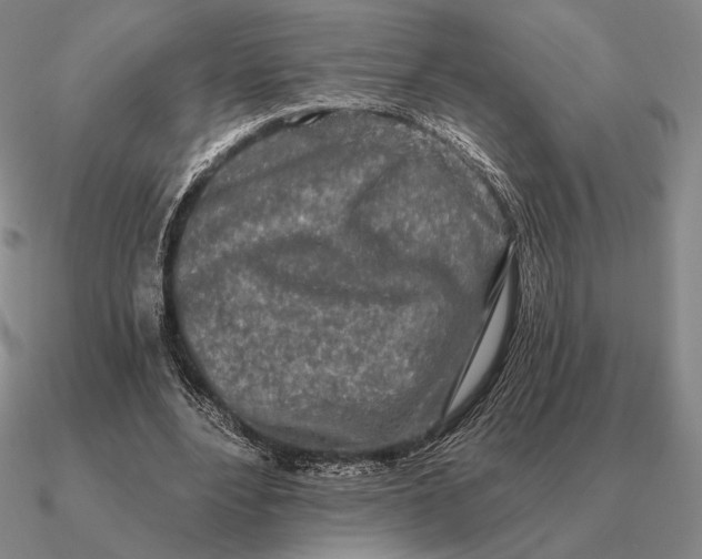 X0000090610488200708071206