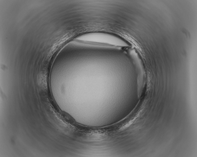 X0000090610489200708071206