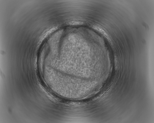 X0000090610490200708071206