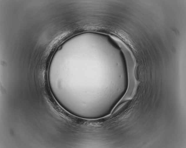 X0000090610491200708071206