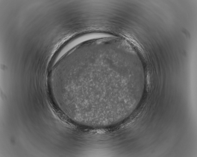 X0000090610492200708071206