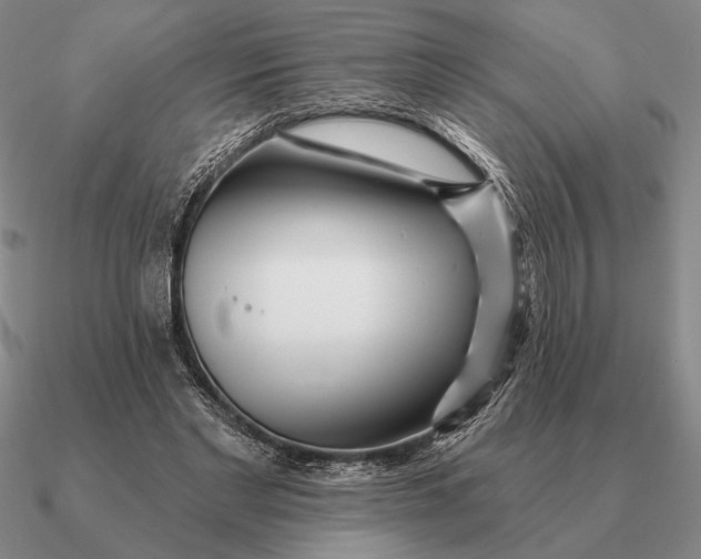 X0000090610493200708071206