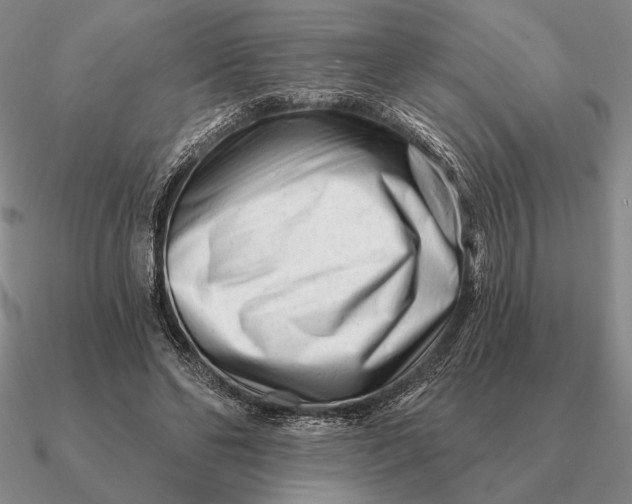 X0000090610494200708071206