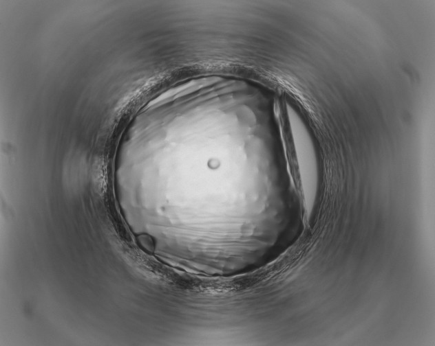 X0000090610495200708071206