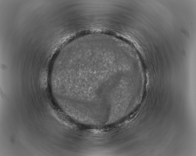 X0000090610496200708071206