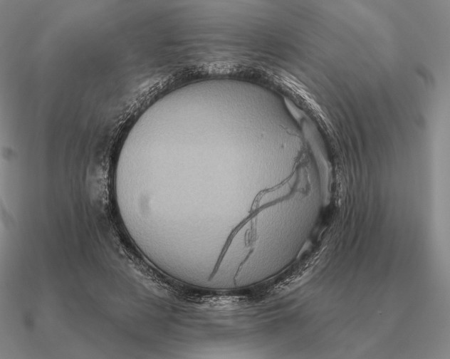 X0000090610497200708071206