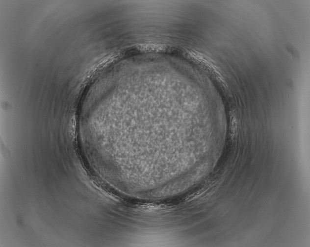 X0000090610498200708071206