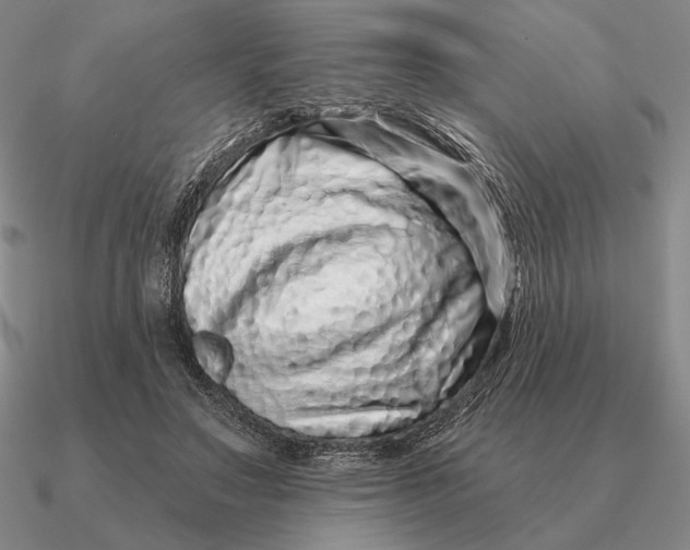 X0000090610499200708071206