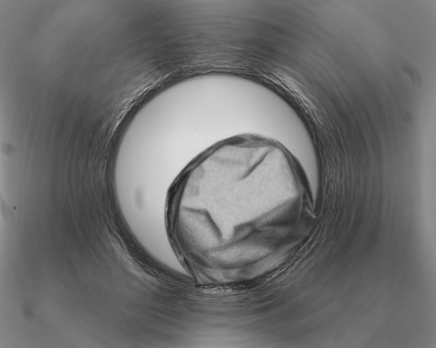 X0000090610500200708071206