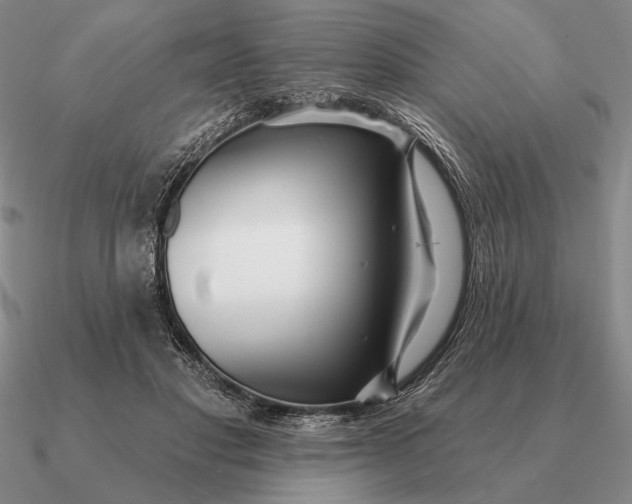 X0000090610501200708071206