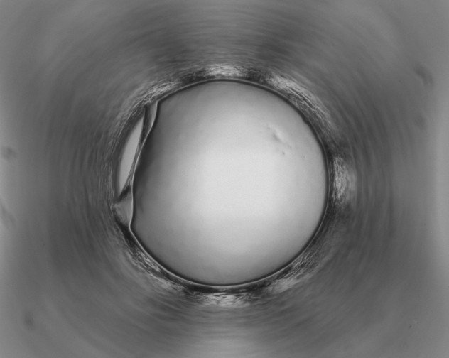 X0000090610502200708071206