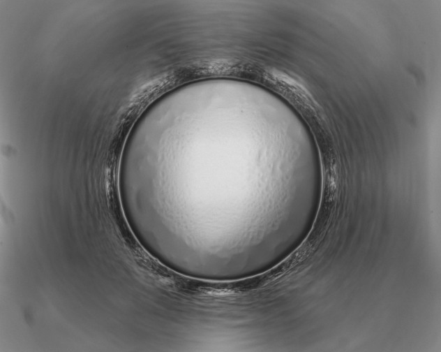 X0000090610503200708071206