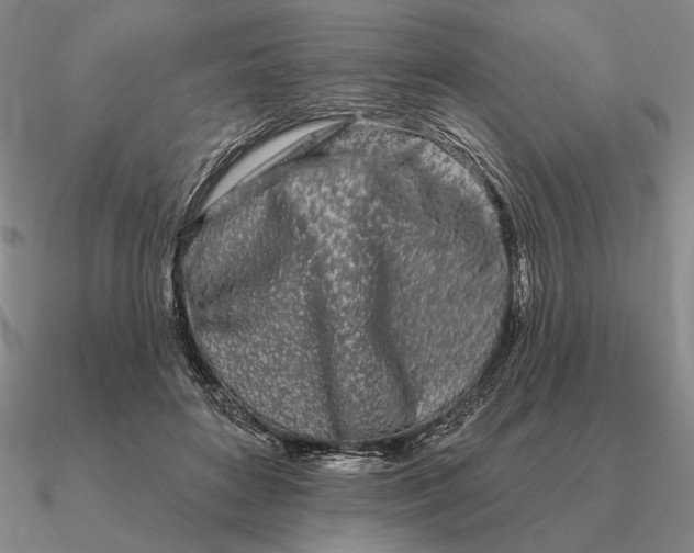 X0000090610504200708071206