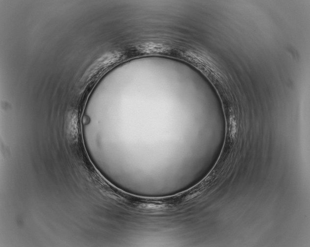 X0000090610506200708071206