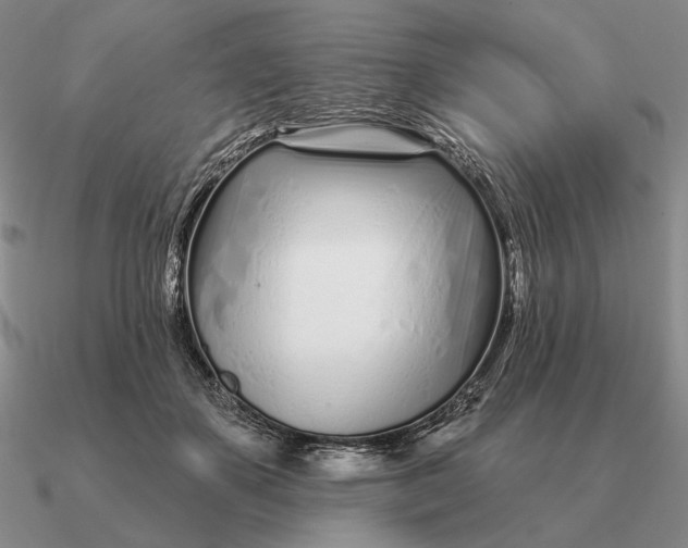 X0000090610507200708071206