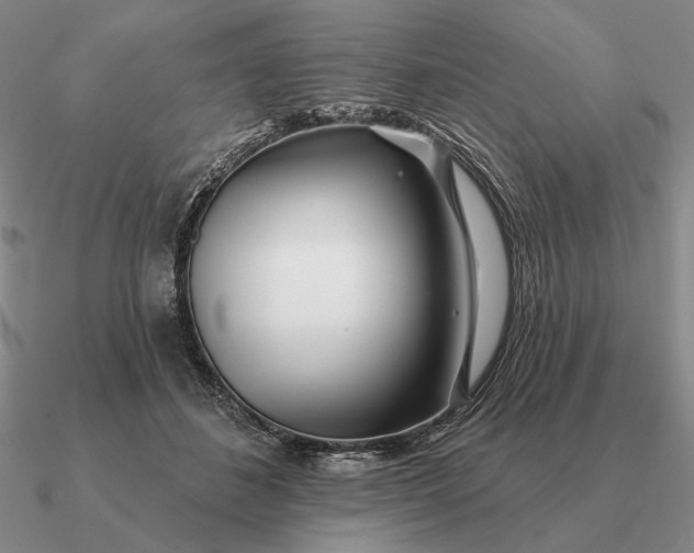 X0000090610508200708071206