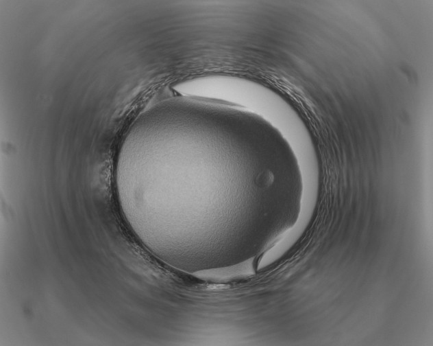 X0000090610509200708071206