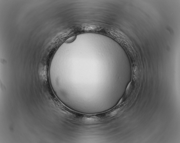 X0000090610510200708071206