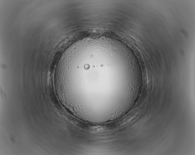 X0000090610511200708071206