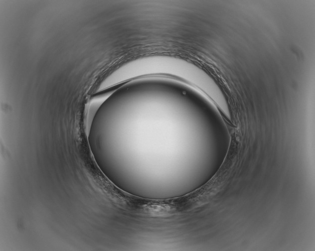 X0000090610512200708071206