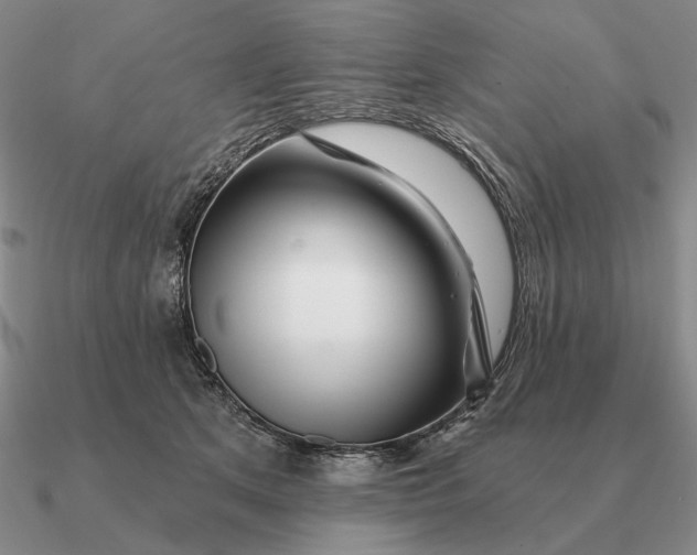 X0000090610513200708071206