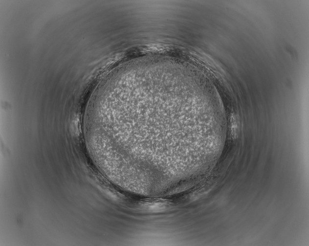 X0000090610514200708071206