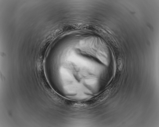 X0000090610515200708071206